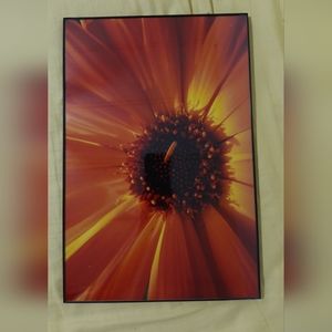 Photography Prints